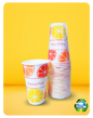DISPOSABLE CUPS  - TROPICAL FRUIT - 12oz