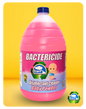 BACTERICIDE BABY - GALLON